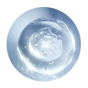 Hyaluronic Acid